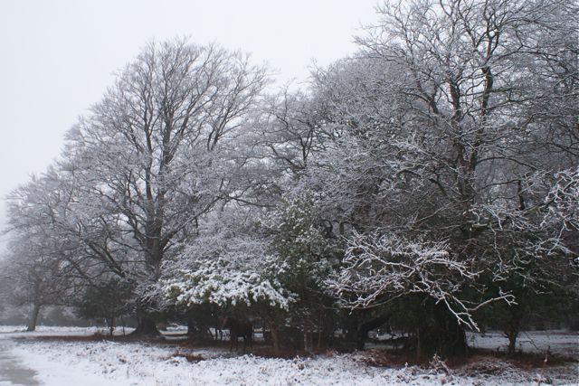 5/3/2009 DSC00303.JPG