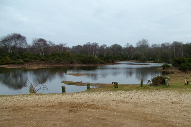 15/02/2009