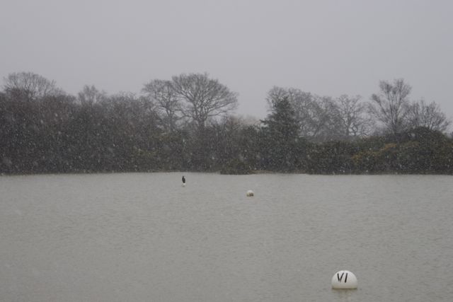 5/3/2009 DSC00282.JPG