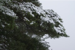 5/3/2009 DSC00302.JPG