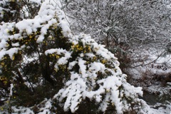 5/3/2009 DSC00307.JPG