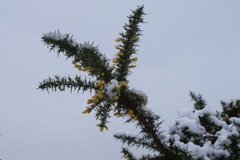 5/3/2009 DSC00311.JPG