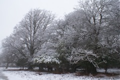 5/3/2009 DSC00303.JPG