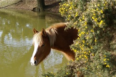 15/3/2009 DSC08914.JPG