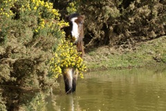 15/3/2009 DSC08925.JPG