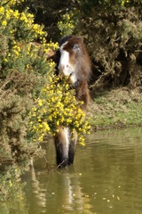 15/3/2009 DSC08926.JPG