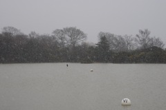 5/3/2009 DSC00282.JPG