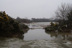 5/3/2009 DSC00291.JPG