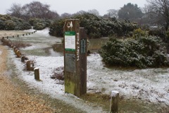 5/3/2009 DSC00296.JPG