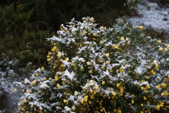 5/3/2009 DSC00299.JPG