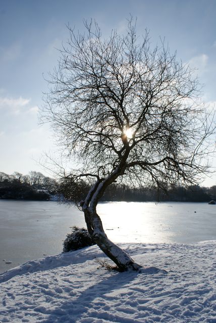 8/1/2010 DSC01231