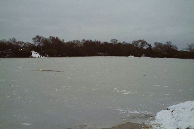10/1/2010 PICT0104