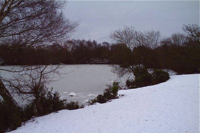 10/1/2010 PICT0114