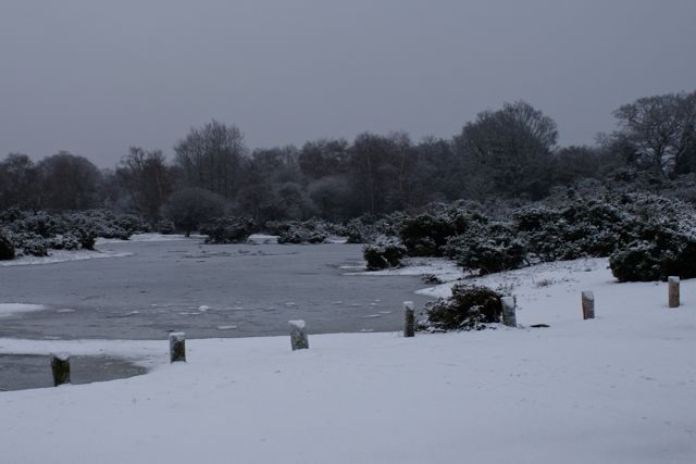 6/1/2010 DSC01188