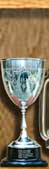 Merlin Cup